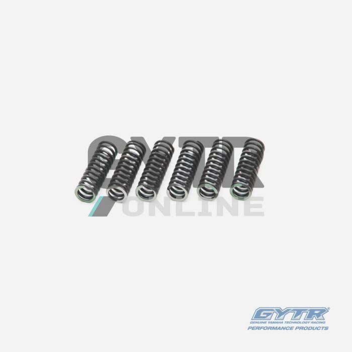 CLUTCH SPRING SET