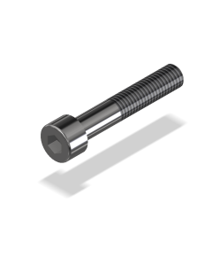 Socket Head Screw