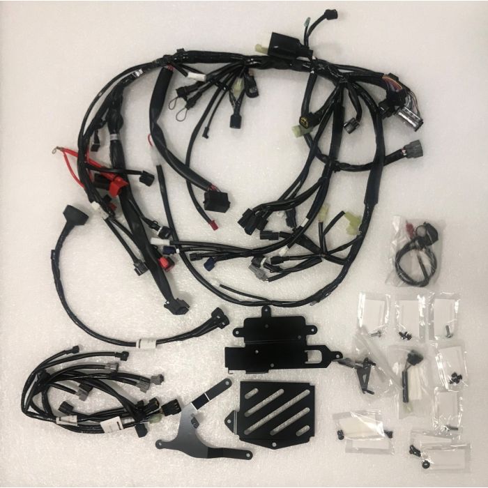 WIRE HARNESS SET for 2020 YZF-R1